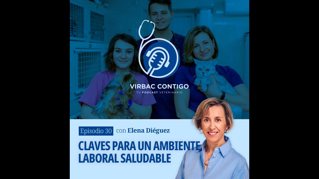 Claves para un ambiente laboral saludable, con Elena Diéguez