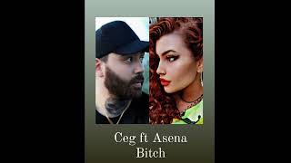 Ceg ft Asena - Bitch 2 Resimi