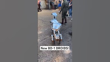 New BD-1 Self Exploring Droids at Disneyland!