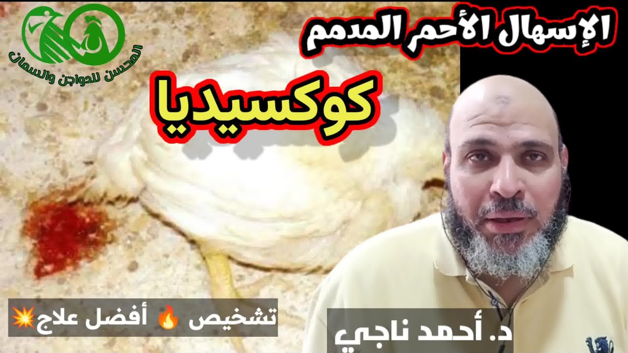 الإسهال الأحمر [كوكسيديا] تشخيص ووقاية💫أفضل علاج قوي وفعال👑 المجموعة الذهبية💫حلال المشاكل (3)