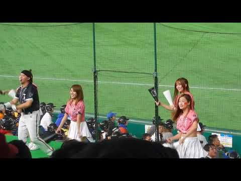 アジア プロ野球チャンピオンシップ2017：台湾応援・2
