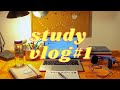 Meu primeiro STUDY VLOG (Study with me) | Ana Laura Girardi