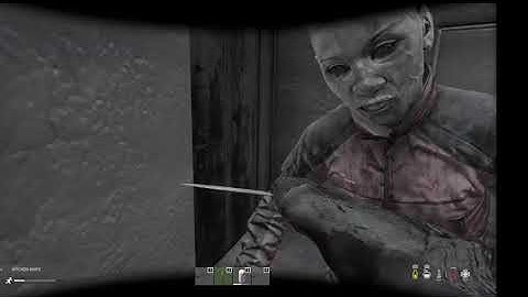 My Average Dayz Experience