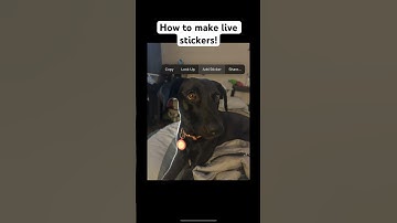 Live stickers are amazing! #apple #ios17 #shorts