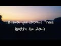 Steven And Coconut Treez - Hingga Ku Jenuh Lirik