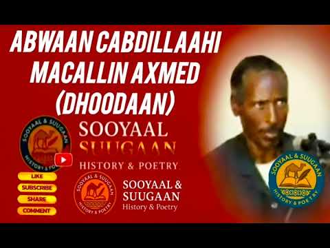 ABWAAN CABDILLAAHI MACALLIN AXMED DHOODAAN ABSHIR