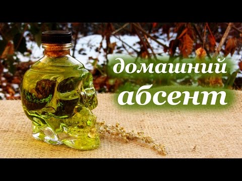 Vidéo: Absinthe Annuelle