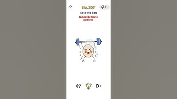 Brian out game level 207