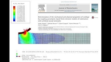 Indentation of Articular Cartilage as a Poroelastic Material
