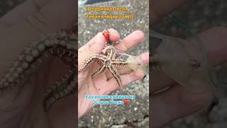 Владимир Песня / Летний Дождь #shorts #short #shortmusic