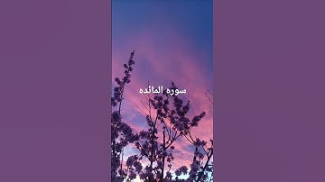 #ماهر_المعيقلي #سورة_الانعام