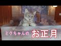 2022年お正月の思い出