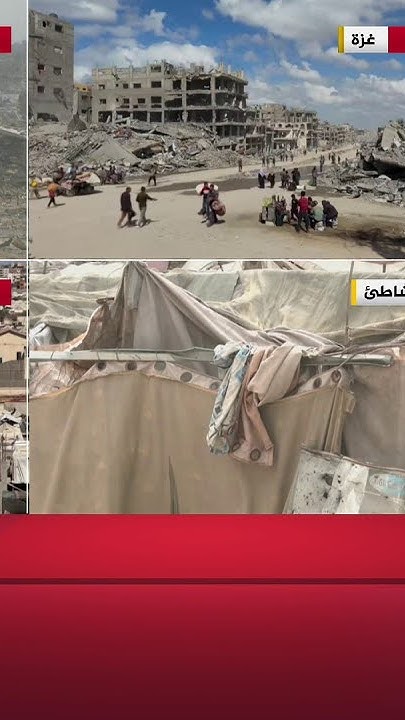     :       
 - نشر قبل 47 دقيقة