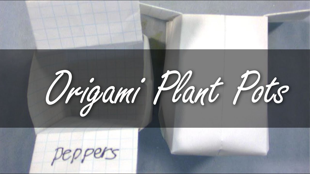 Origami Plant Pot