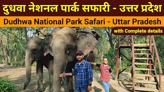 Dudhwa National Park | Jungle Safari | Rhino Safari | Elephant Safari | Dudhwa Safari | Tiger safari