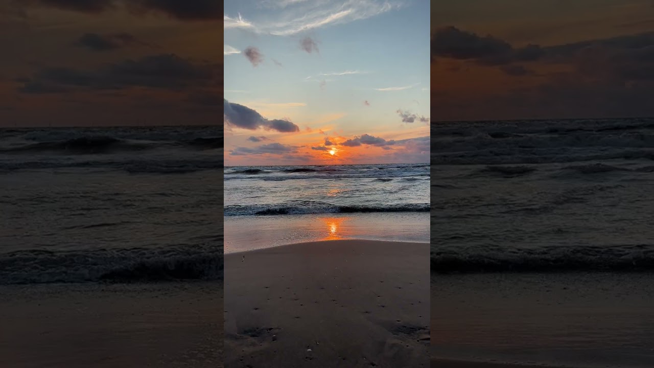 Golden Sunset & Ocean Waves | White Noise ASMR Shorts 