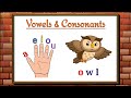 Understanding Vowels and Consonants