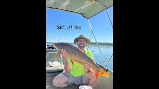 2 x 21lb Common Carp 03Jun26 1 & 2 Dale Hollow