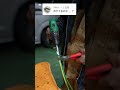 【電気工事】リベンジ編 海外の工具使ってみた#shorts