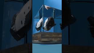 Kliper Spaceplane: ESA-Russia Collaboration Diorama