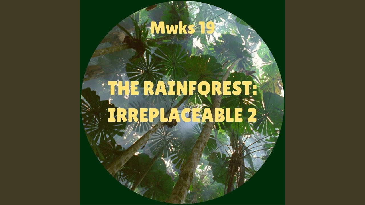 The Rainforest: Irreplaceable 2
