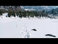 Solang valley @storiesofmountains ❄️#Manali #Solangvalley #storiesofmountains #youtube #Snow