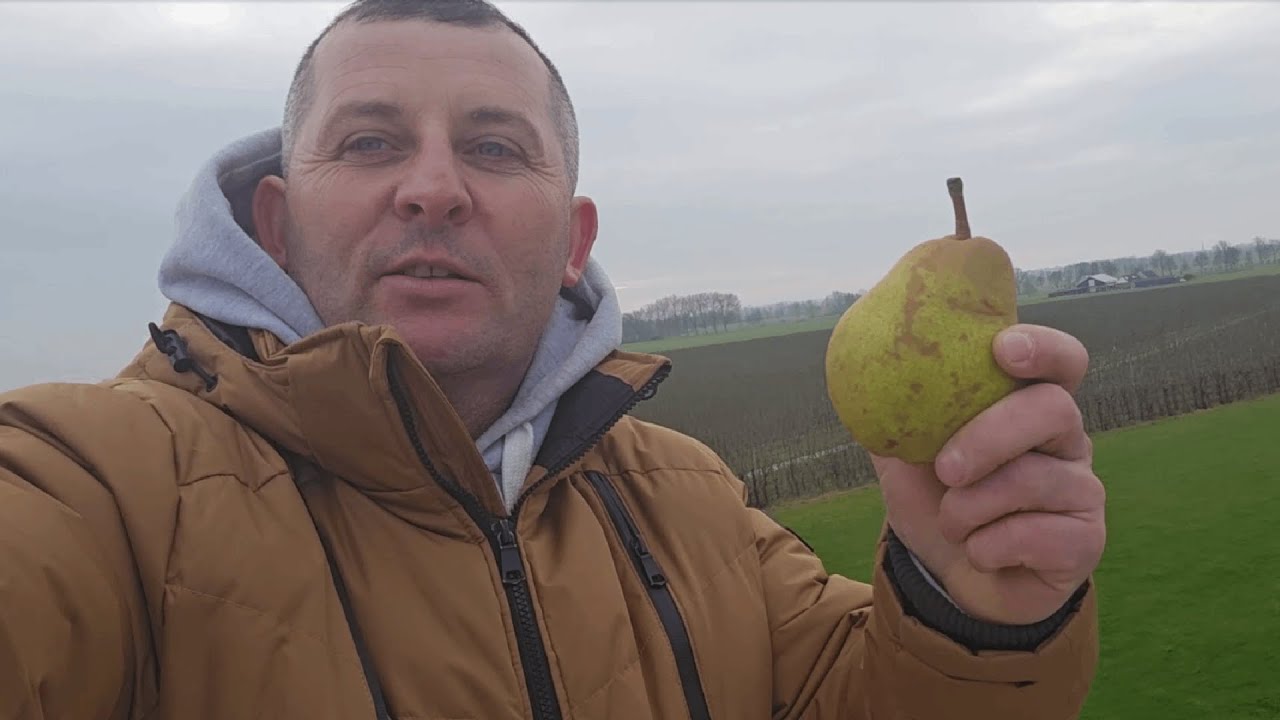 Sadownik w podróży - Wyprawa do Holandii