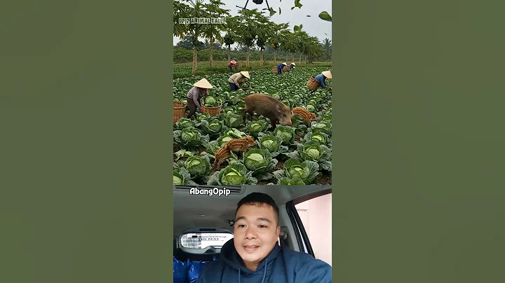 Drone to kill harmful wildboar #shorts #villagelife #smartfarming #rurallife