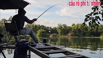 Câu đài tự nhiên hơn 1 tháng mới được đi câu cá rô phi tự nhiên | câu cá tự nhiên 