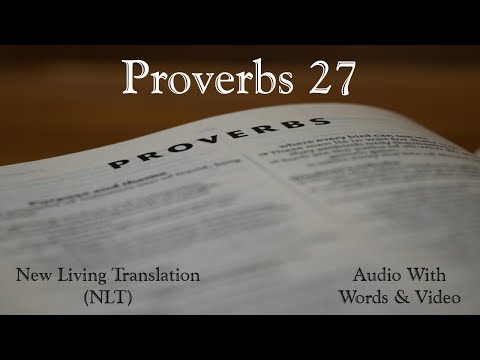 27          
