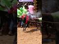 🤟🥷Jallikattu lover WhatsApp status Tamil அகரம் ஜல்லிக்கட்டு பேரவை அதிபதி kallakurichi Jallikattu👑🤟