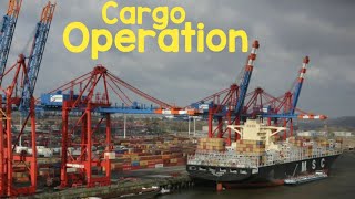 How ships load containers! (Cargo operation)