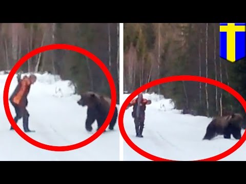 Wideo: Trzy Niedźwiedzie Wspinają Się Do Samochodu Mężczyzny W Gatlinburg, Tennessee