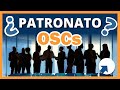  patronato de una ong qu es y sus principales atribuciones