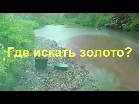 Где искать золото?