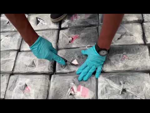 Golpe a mafias del narcotráfico: incautan 7.4 toneladas de cocaína en el Pacífico Colombiano