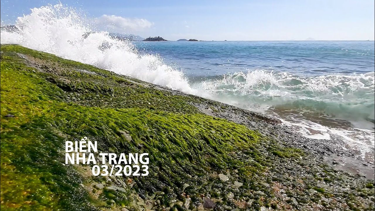 NHA TRANG 03/2023-VÀ MÙA SỎI ĐÁ, RONG, RÊU - YouTube