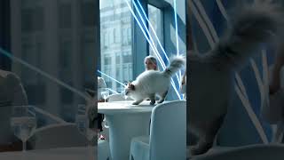 Download Lagu ❄️⚪💭Ragdoll at a Business Party 151!!💭⚪ 💼🥂❄️ #midjourney #cat #aicat #chatgpt #aiart #cutecat #cute MP3