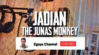 Jadian lagu The Junas Monkey ost Anak Band ( Karaoke)