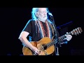 Willie nelson i never cared for you mp3