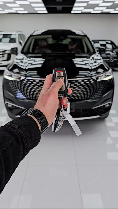 Haval H6 HEV 2025 ASMR.