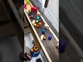ASMR Sleep: Endless Wooden Marble Run Course 🪵🌙②