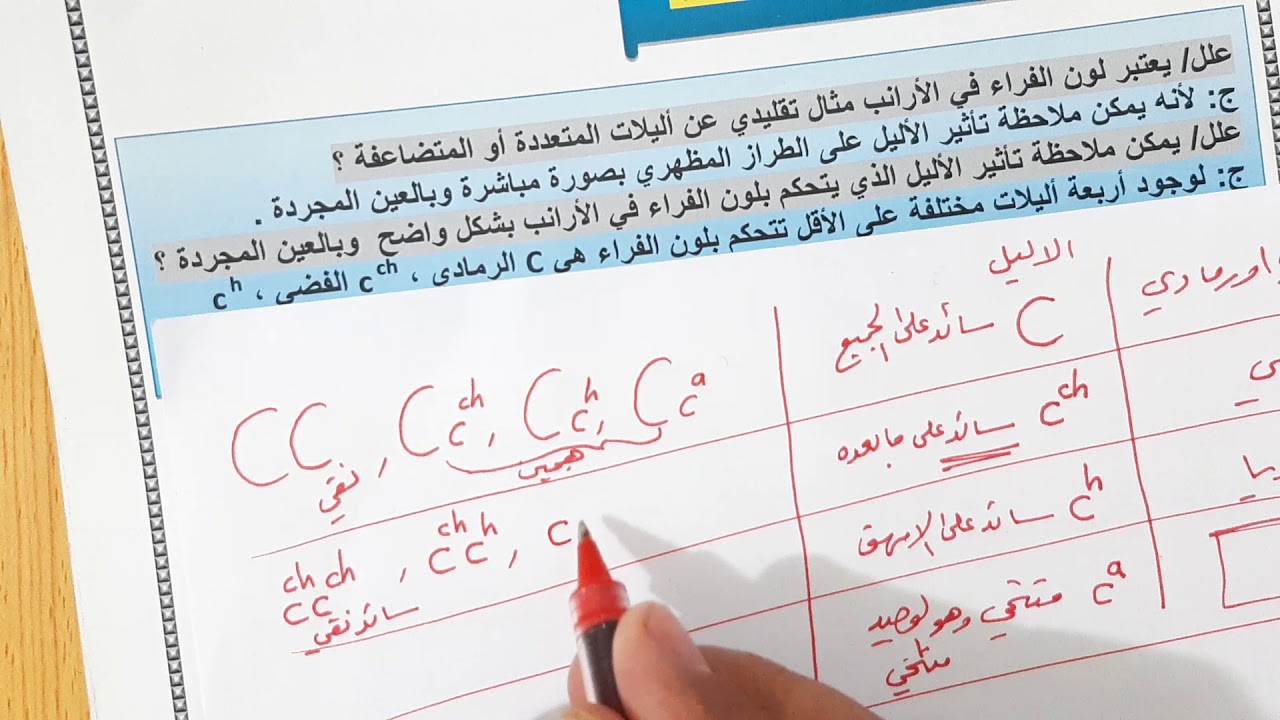 م٤٢ / لامندليه /الاليلات المتعدده ( لون الفراء في الارانب)شرح