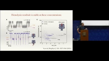 Single-molecule proteomics using nanopores l Prof. Meni Wanunu l SCP2023