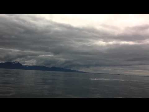 Ande Rasmussen Whale watching in Sitka, Alaska with Gallant