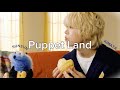 【和訳】Puppet Land-SYOYA(JO1),パペットスンスン