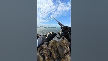 Mùa câu cá mú đến rồi😊#cauca #fishing #lurefishing #fish