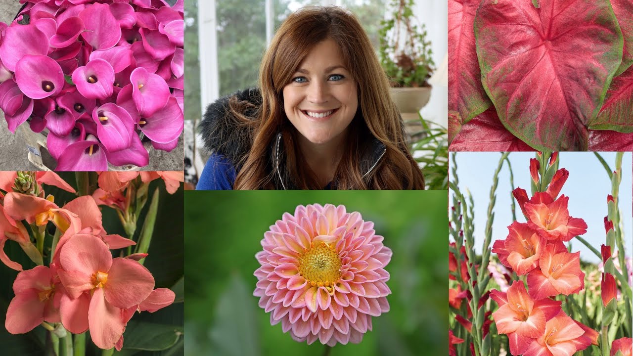 Download 5 Popular Bulbs You Can Plant Now for Gorgeous Summer Color! 🌸🌼🌺 // Garden Answer