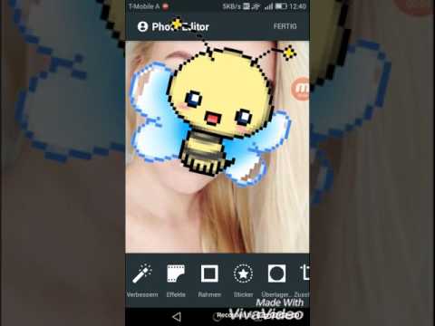 Ich bin eine Biene 🐝🐝🐝