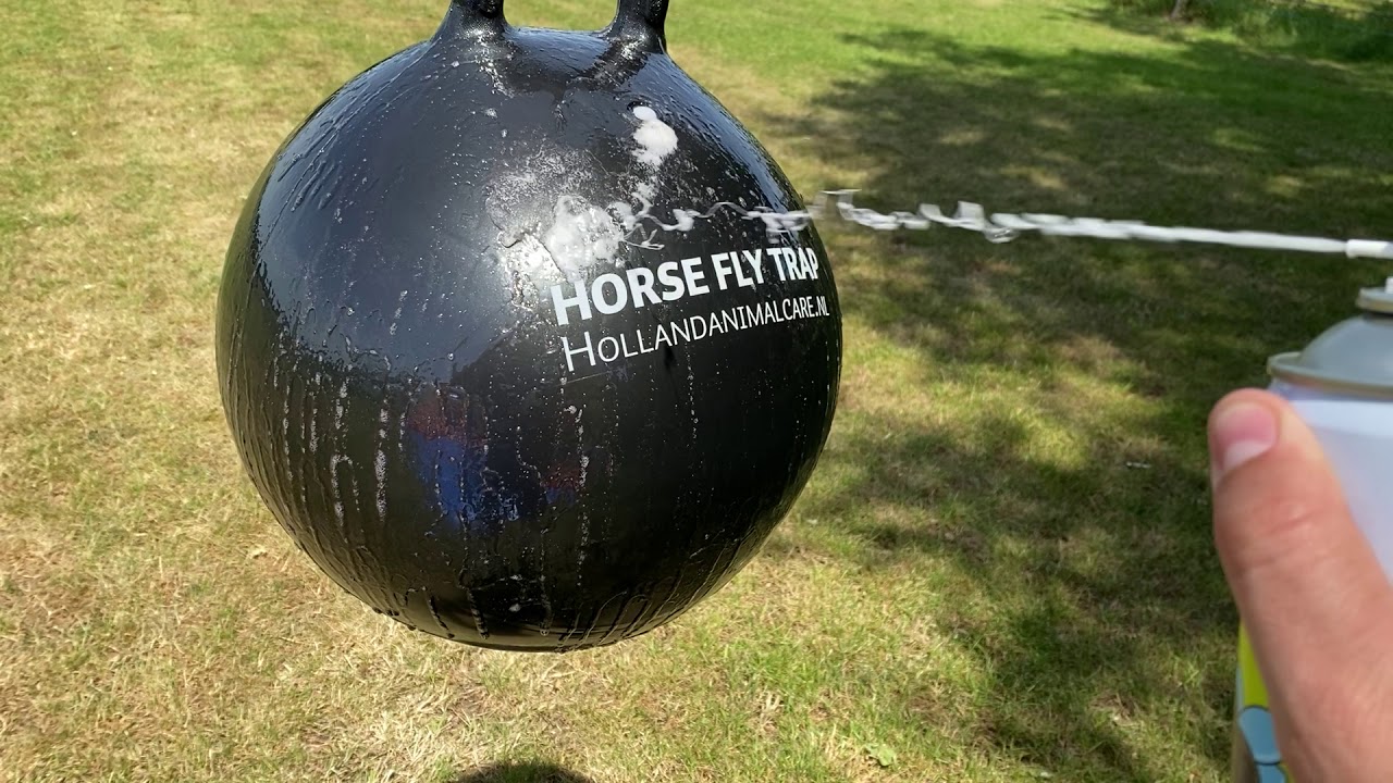 Horse Fly Trap Glue Spray (Lijm) YouTube